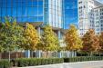 Commercial Tree Surgery Plymouth - The Tree Surgery Company Ltd (1)