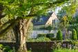 Domestic Tree Surgery Plymouth - The Tree Surgery Company Ltd