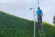 Hedge Reduction Plymouth - The Tree Surgery Company Ltd